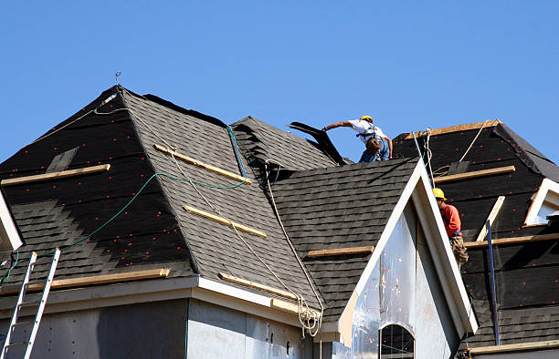 Best Metal Roofing Contractor  in Rohnert Park, CA